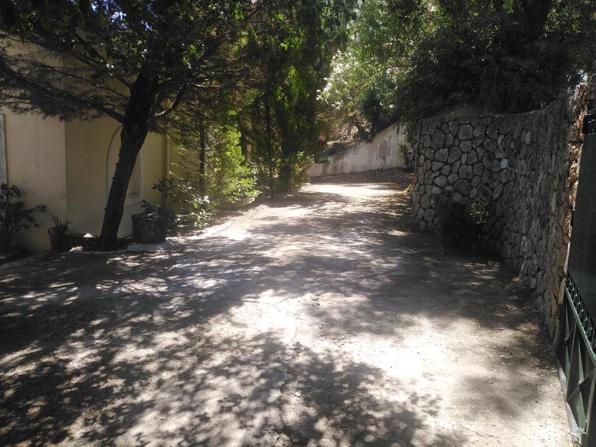 Olea Home Agia Pelagia Chlomou Exterior foto